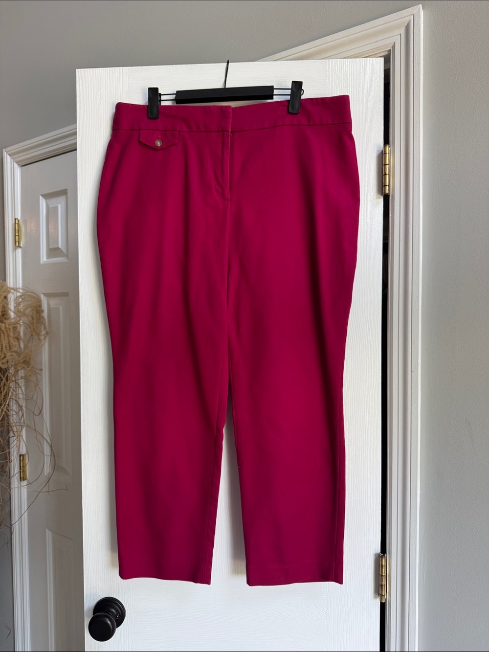 LOFT Cropped Ankle Pants in Fuchsia